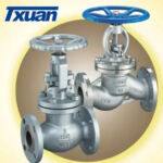 Globe Valve Series